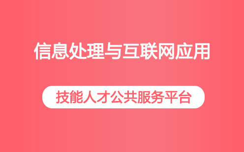 信息处理与互联网运用